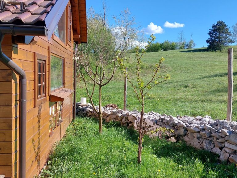 Photo Credit: Apitherapeutical Ecological Beehive, Pivka, Slovenia